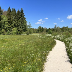 23-05-27 11-44-30 5729